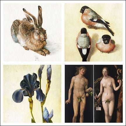 Albrecht DURER