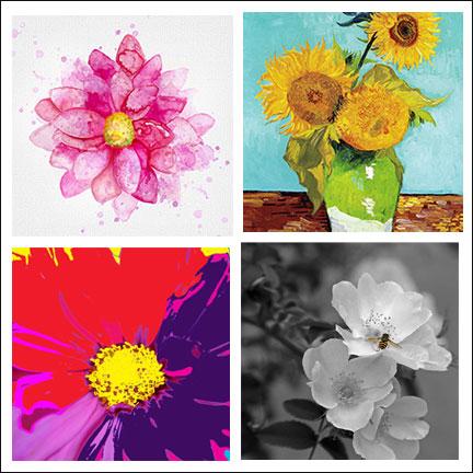 FLOWERS, PLANTS