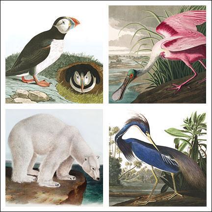 John J. AUDUBON (Birds & Animals)