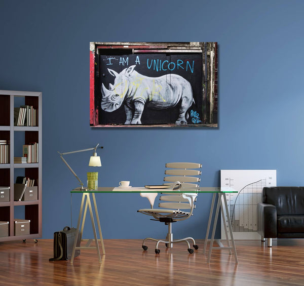 Rhinoceros I am a unicorn, Graffiti