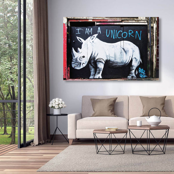 Rhinoceros I am a unicorn, Graffiti