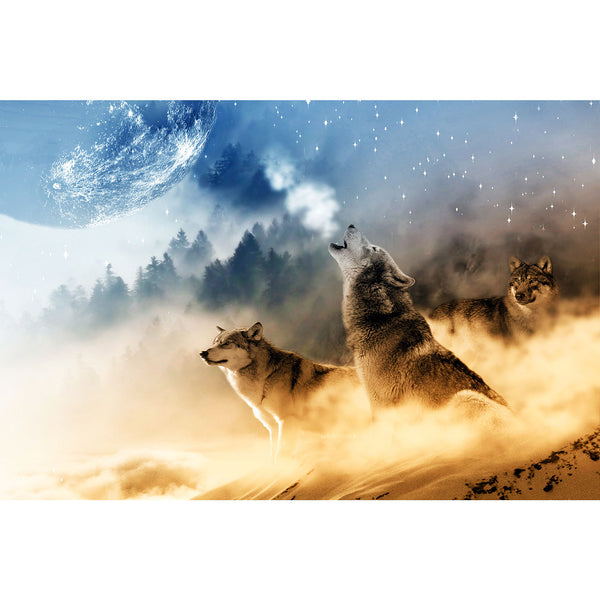 Wolves, Extra Large Photography