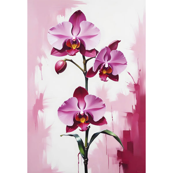 Dark Pink Orchid (Flower Collection)