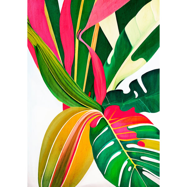 Colorful Tropical Plants