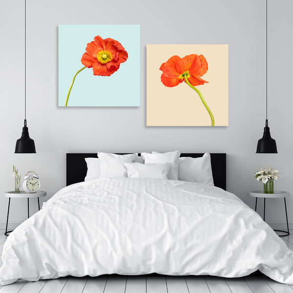 Poppies Flower Photography, Set of Art Prints