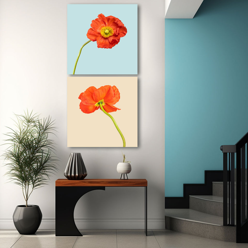 Poppies Flower Photography, Set of Art Prints