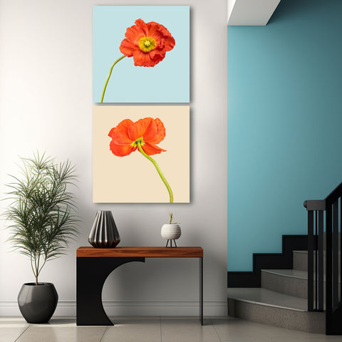 Poppies Flower Photography, Set of Art Prints
