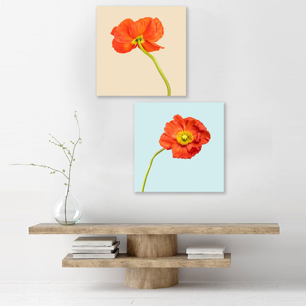 Poppies Flower Photography, Set of Art Prints