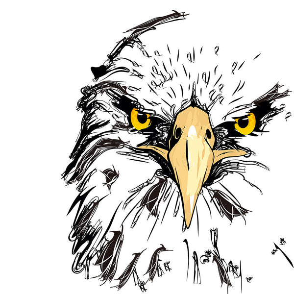 Hand-drawn Owl, Digital Art