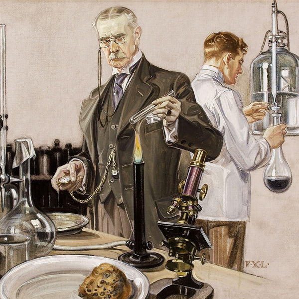 Experiment, Reproduction
