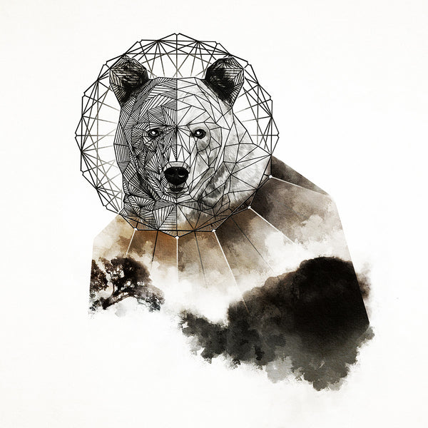 Geo Bear, Watercolor Art