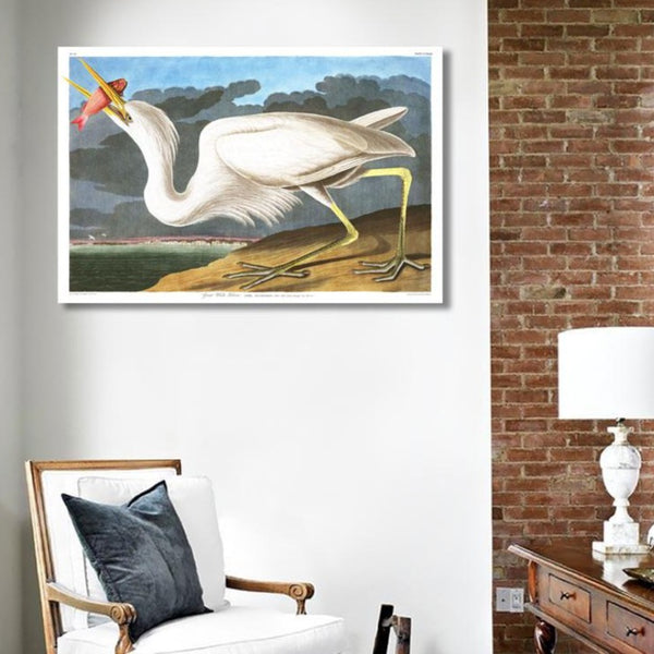 Birds of America, Great Blue Heron by John J. Audubon