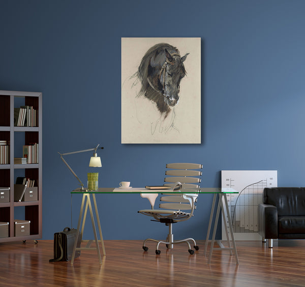 The Head Of A Black Horse, Study