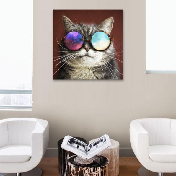 Cat In Glasses, Photography