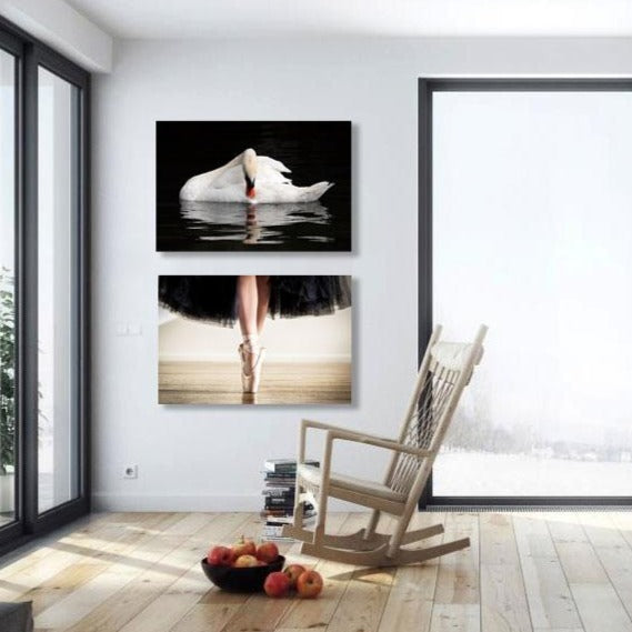 White Swan, Photography