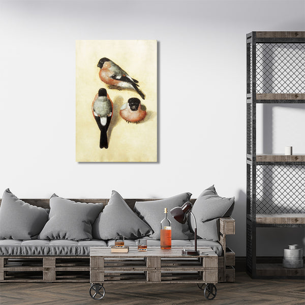 Three Studies of a Bullfinch, Reproduction