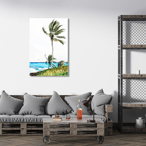 Palm Tree Nassau, Reproduction
