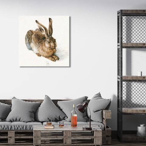 Young Hare Rabbit Animal, Reproduction