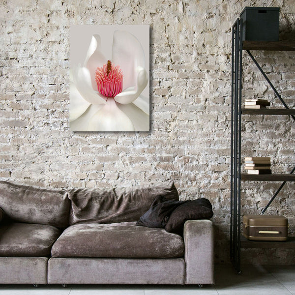 White Flower, Modern Photography