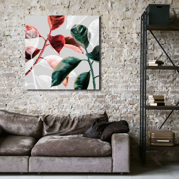 Multi-color Ficus Leaves, Modern Photography