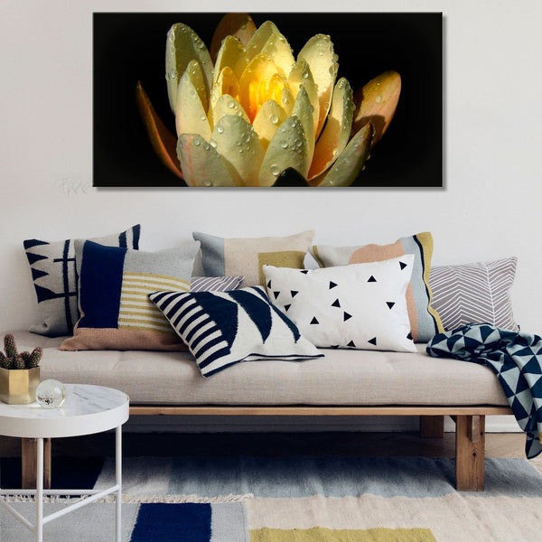 Yellow Lotus, Photography