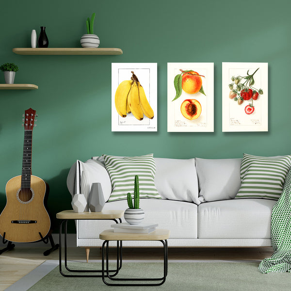 Strawberry, Vintage Botanical Illustration