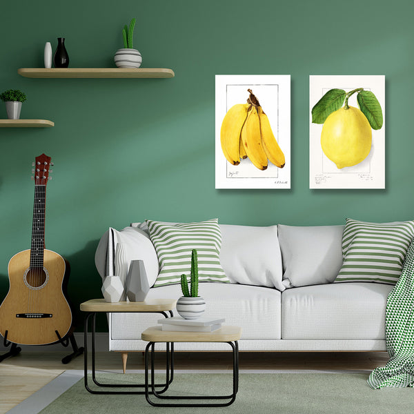 Lemon, Vintage Botanical Illustration