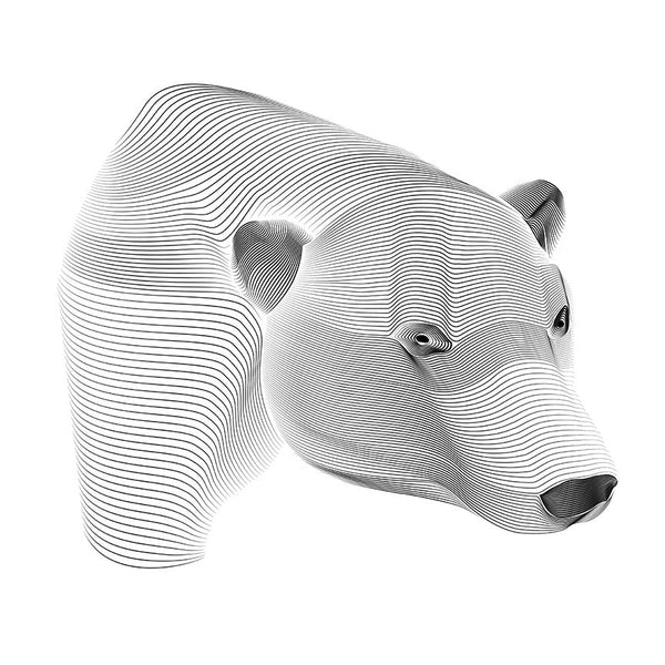 Abstract Black/White Polar Bear