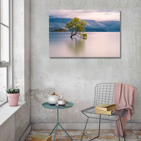 Alone Tree, Photography
