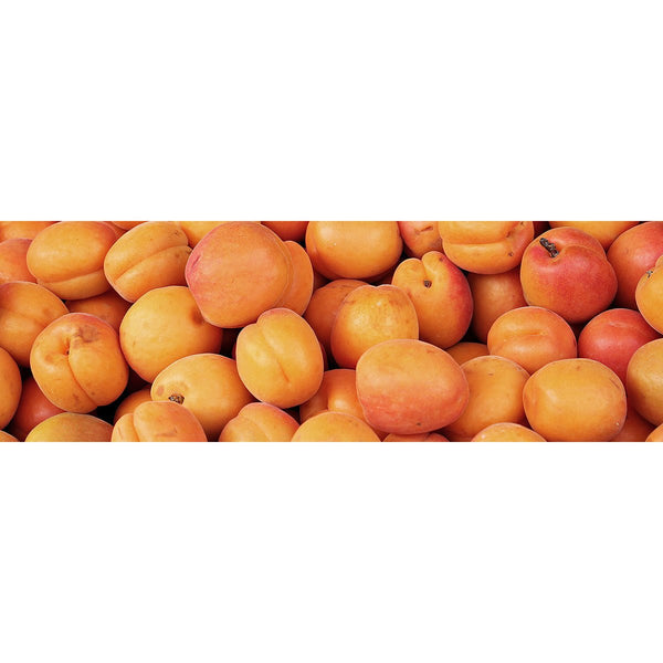 Apricot Pattern, Photography