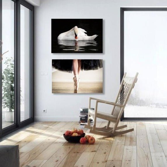 Ballerina Dancer, Retro Style Photography