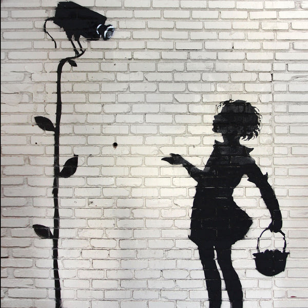 Banksy Flower Girl, Graffiti