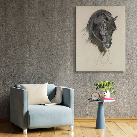 The Head Of A Black Horse, Study