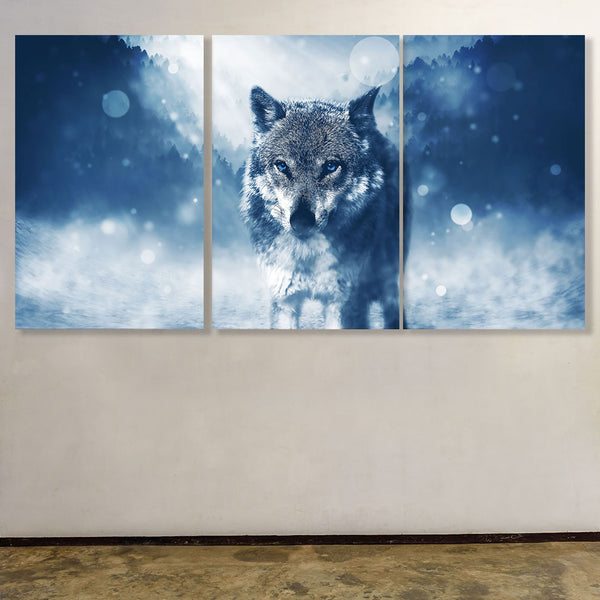 Wolf, Photography