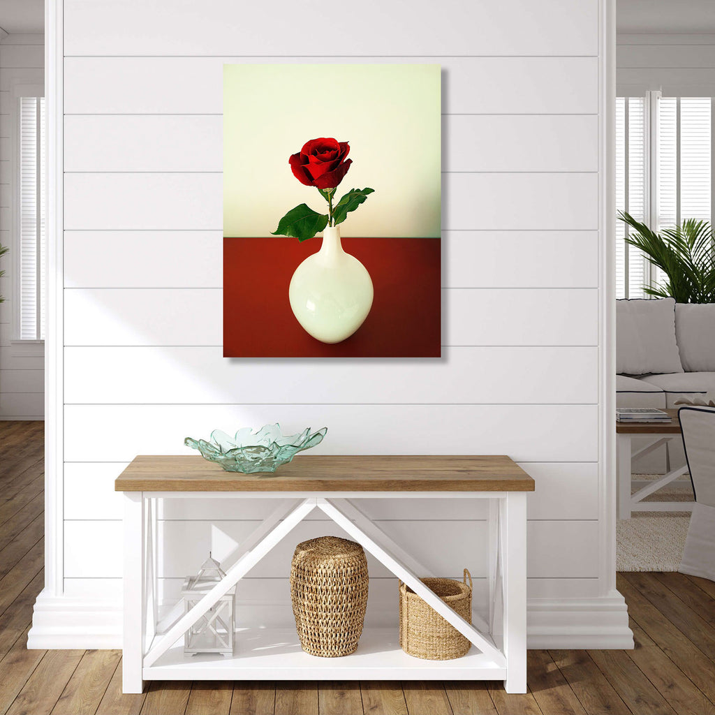 Red Rose, Photography