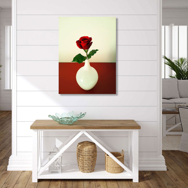 Red Rose, Photography