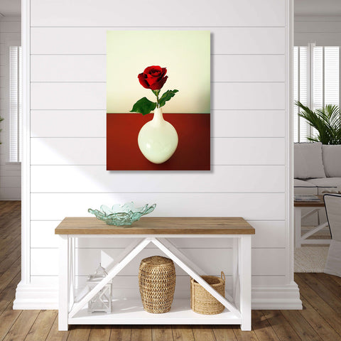 Red Rose, Photography