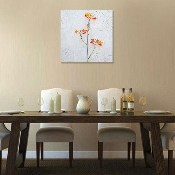 Flower on Wall background, Photography