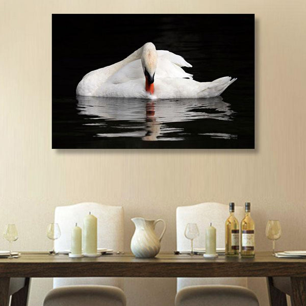 White Swan, Photography
