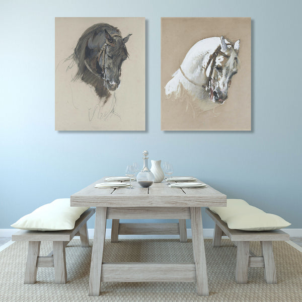 The Head Of A White Horse, Study