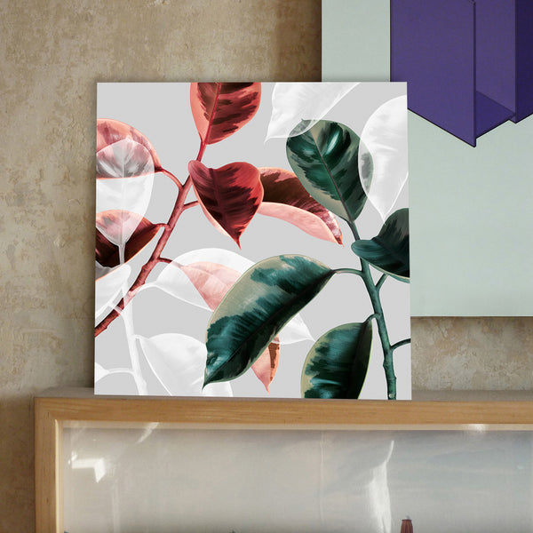 Multi-color Ficus Leaves, Modern Photography