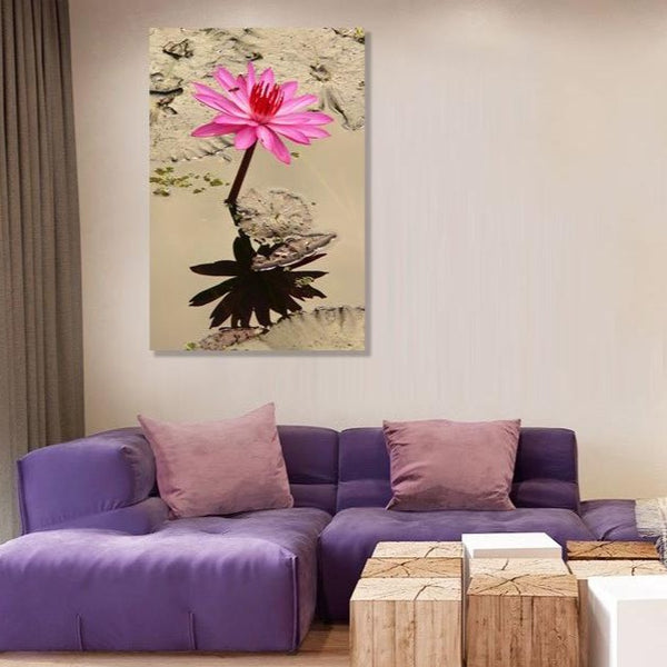Lotus Pink Flower, Photography