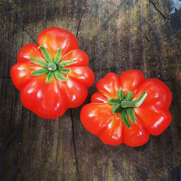 Red Pepper, Kitchen Art - Metal Poster