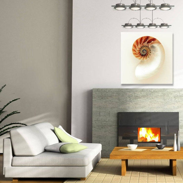 Spiral Nautilus Shell – Metal Art Print