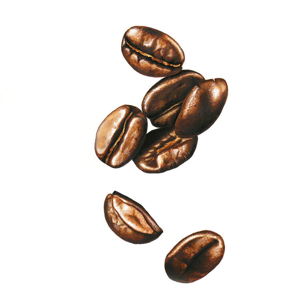 Coffee Beans Painting - Metal Print