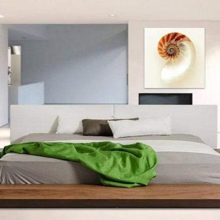 Spiral Nautilus Shell – Metal Art Print