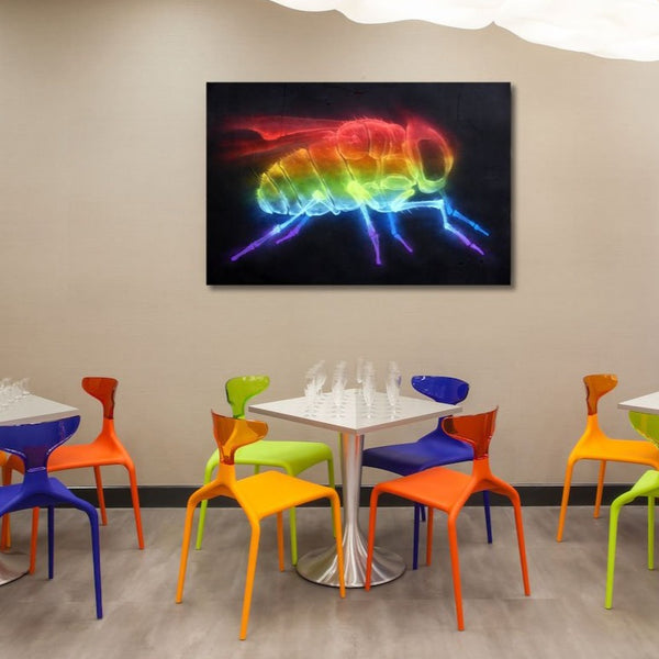 Rainbow Fly, Graffiti