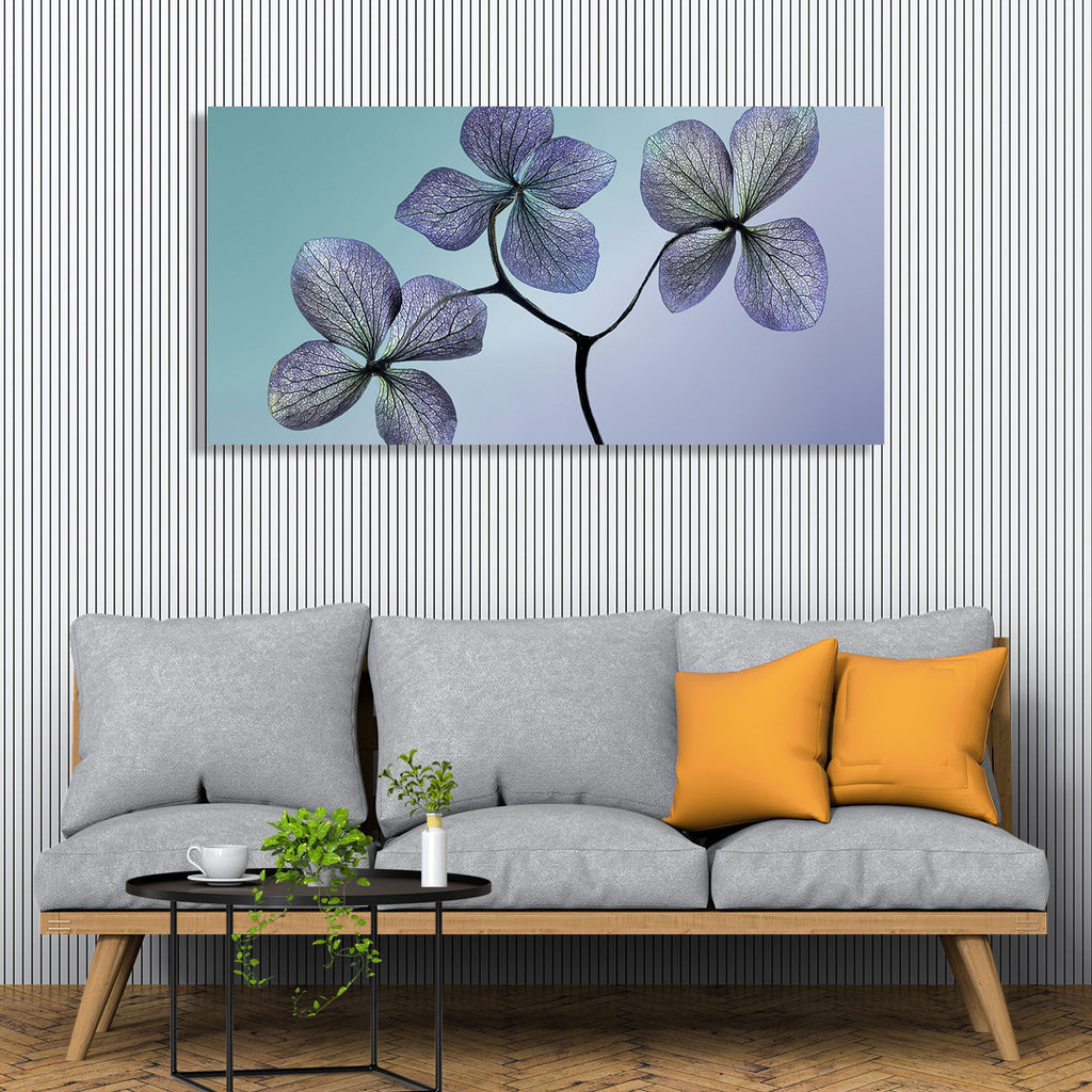 Violet Flowers, Photography