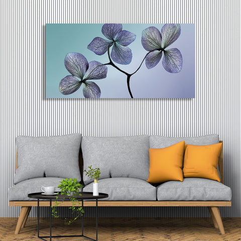 Violet Flowers, Photography