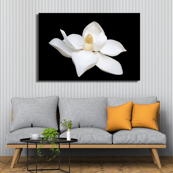White Flower, Photography